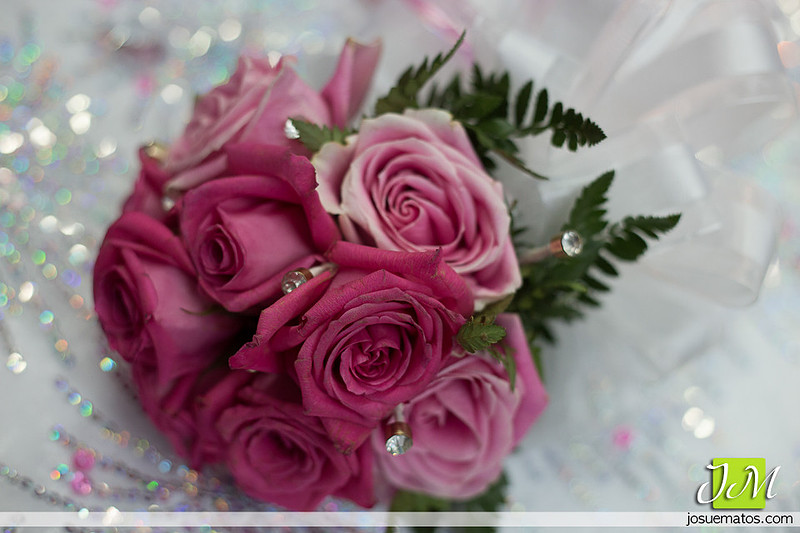 Josue Matos Photographer | Fotografo de Bodas en Puerto Rico