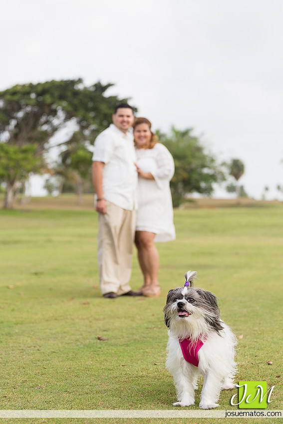 Josue Matos Photographer | Fotografo en Puerto Rico