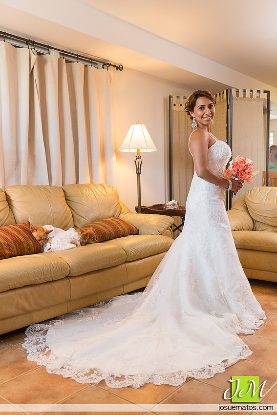 Josue Matos Photographer | Fotografo de Bodas en Puerto Rico